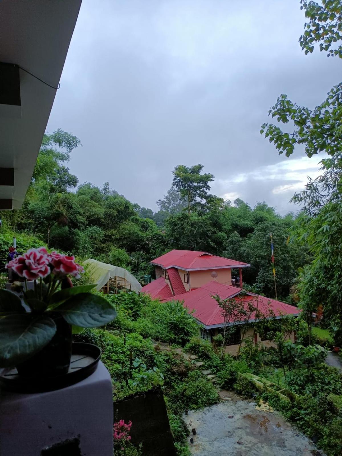Tenam Garden Homestay Калимпонг Екстериор снимка